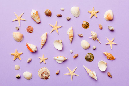 Summer time concept Flat lay composition with beautiful starfish and sea shells on colored table, top view.の写真素材