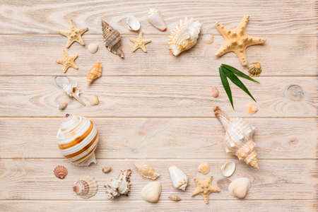 Summer time concept on colored background. Seashells from ocean shore in the shape of frame separated with space for text top view.の写真素材