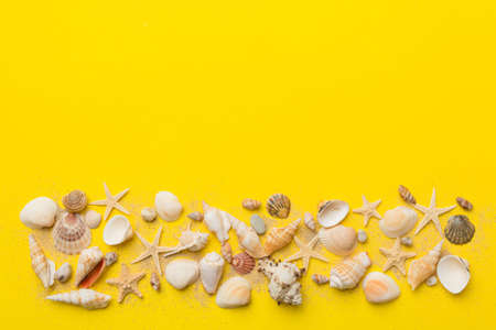 Summer time concept Flat lay composition with beautiful starfish and sea shells on colored table,...