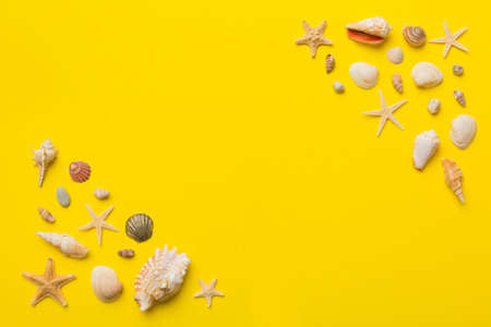 Summer time concept Flat lay composition with beautiful starfish and sea shells on colored table, top view with copy space for text.の写真素材