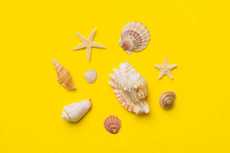 Summer time concept Flat lay composition with beautiful starfish and sea shells on colored table,...