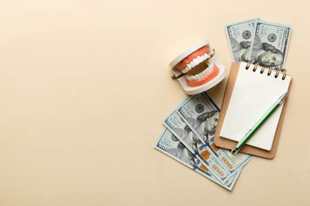 Flat lay composition with educational dental typodont model and money with notebook on colored...