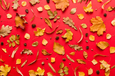 autumn composition. Pattern made of dried leaves and other design accessories on table. Flat lay,...