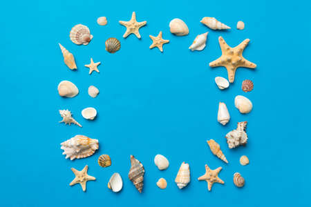 Summer time concept on colored background. Seashells from ocean shore in the shape of frame...