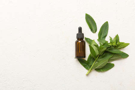 Natural Mint Essential Oil in a Glass Bottle. organic cosmetics with herbal extracts of mint on...