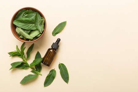 Natural Mint Essential Oil in a Glass Bottle. organic cosmetics with herbal extracts of mint on colored background.の写真素材