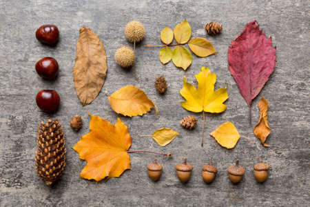 autumn composition. Pattern made of dried leaves and other design accessories on table. Flat lay,...