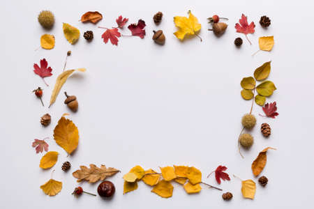 Autumn composition made of dried leaves, cones and acorns on table. Flat lay, top view.の写真素材