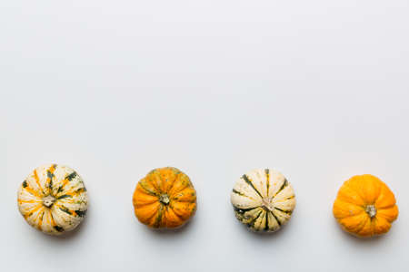 Autumn composition of little orange pumpkins on colored table background. Fall, Halloween and Thanksgiving concept. Autumn flat lay photography. Top view with copy space.の写真素材