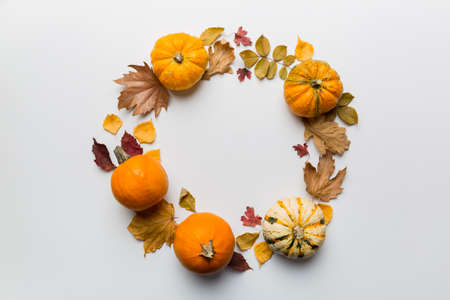 Autumn composition Pumpkins with fall leaves over colored background. Top view with copy space.の写真素材