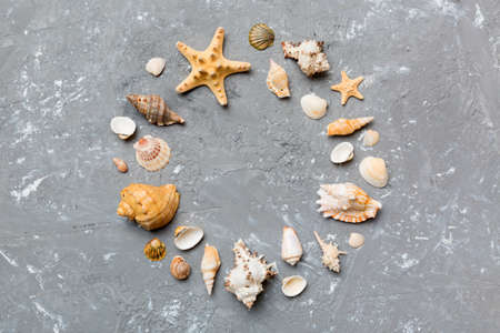 Summer time concept on colored background. Seashells from ocean shore in the shape of frame...