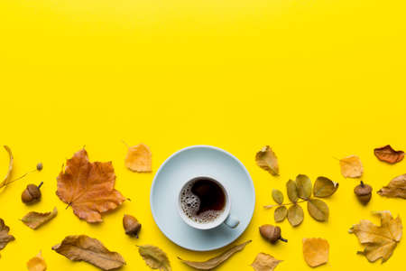 Flat lay composition with colorful Autumn cup of coffee and leaves on a color background. top view.