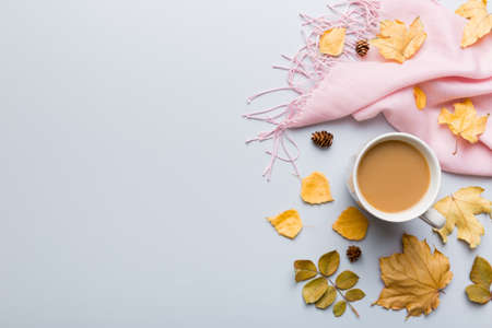 Cup of cocoa with autumn leaves abstract still life top view vith copy space.の写真素材