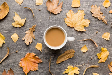 Cup of cocoa with autumn leaves abstract still life top view vith copy space.