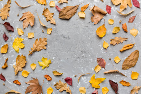 Autumn composition made of dried leaves, cones and acorns on table. Flat lay, top view.