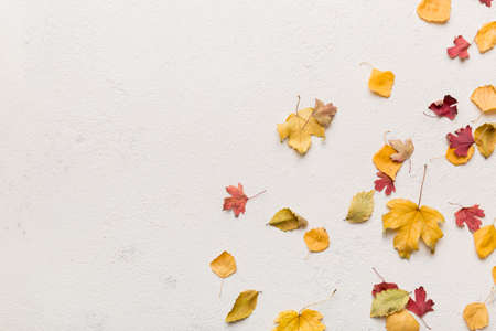 autumn composition. Pattern made of dried leaves and other design accessories on table. Flat lay, top view.の写真素材