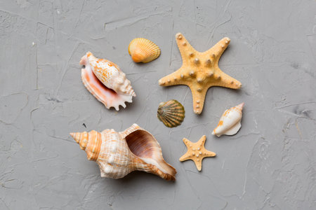 Summer time concept Flat lay composition with beautiful starfish and sea shells on colored table,...