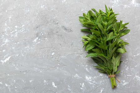 Fresh mint bunch on colored table. Top view with copy space.