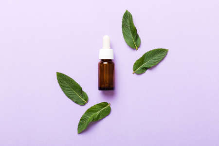 Natural Mint Essential Oil in a Glass Bottle. organic cosmetics with herbal extracts of mint on colored background.の写真素材