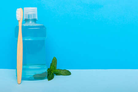 Mouthwash and fresh mint on colored background, top view with copy space for text.