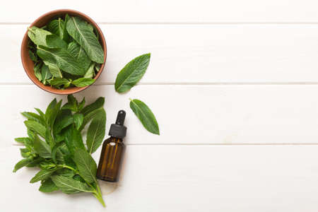 Natural Mint Essential Oil in a Glass Bottle. organic cosmetics with herbal extracts of mint on...