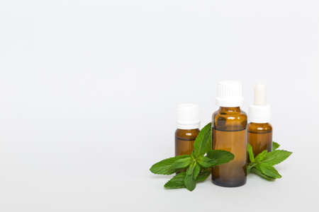 Natural Mint Essential Oil in a Glass Bottle. organic cosmetics with herbal extracts of mint on...
