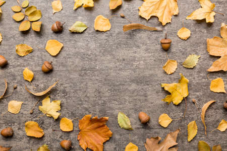 Autumn composition made of dried leaves, cones and acorns on table. Flat lay, top view.