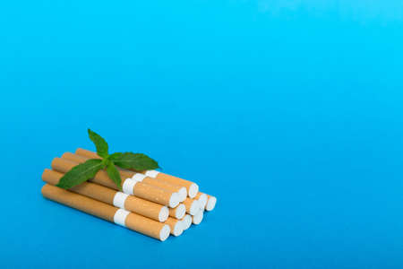 Menthol cigarettes and fresh mint leaves on colored background, Many cigarettes stacked together top view flat lay.の写真素材