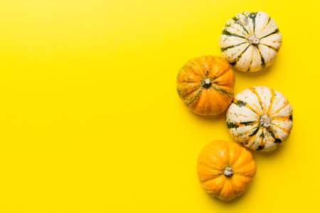 Autumn composition of little orange pumpkins on colored table background. Fall, Halloween and Thanksgiving concept. Autumn flat lay photography. Top view with copy space.の写真素材