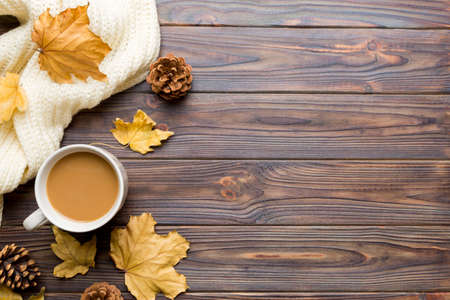 Cup of cocoa with autumn leaves abstract still life top view vith copy space.