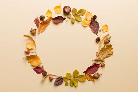 Autumn composition made of dried leaves, cones and acorns on table. Flat lay, top view.の写真素材