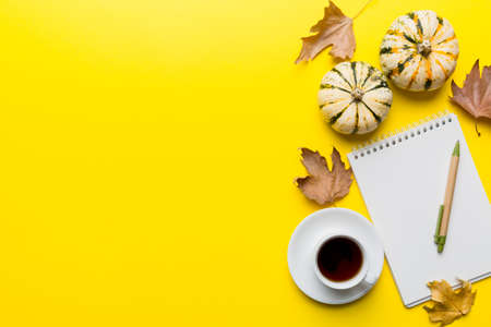 Autumn composition: fallen leaves and notebook mock up on colored background. top view. Flat lay...