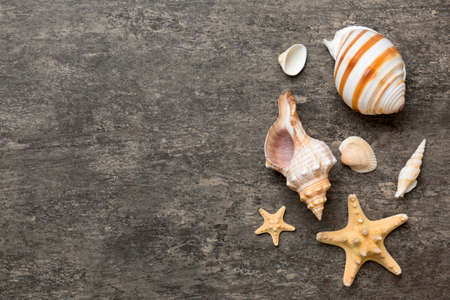 Summer time concept Flat lay composition with beautiful starfish and sea shells on colored table,...