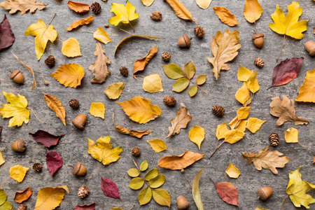 autumn composition. Pattern made of dried leaves and other design accessories on table. Flat lay, top view.の写真素材