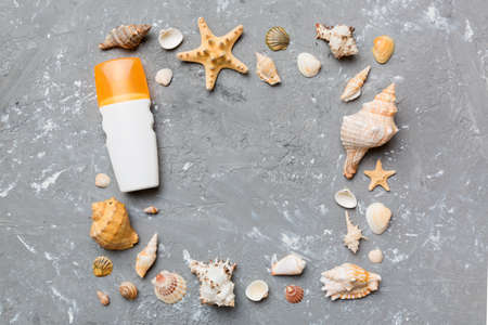 Summer time concept on colored background. Seashells from ocean shore in the shape of frame...