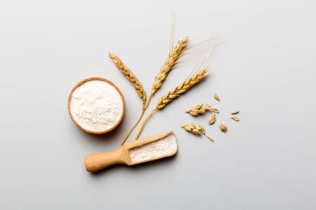 Flat lay of Wheat flour in wooden bowl with wheat spikelets on colored background. world wheat...