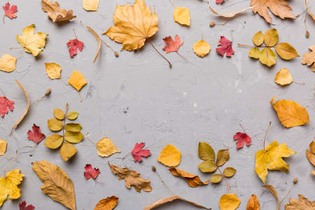 Autumn composition made of dried leaves, cones and acorns on table. Flat lay, top view.の写真素材