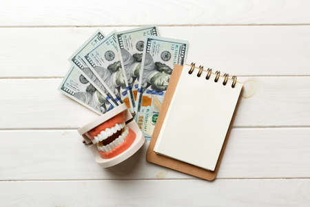Flat lay composition with educational dental typodont model and money with notebook on colored...