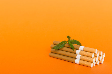 Menthol cigarettes and fresh mint leaves on colored background, Many cigarettes stacked together top view flat lay.の写真素材