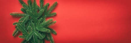 Christmas holiday background with copy space for advertising text. Fir branches on color background . Flat lay, top view.の写真素材
