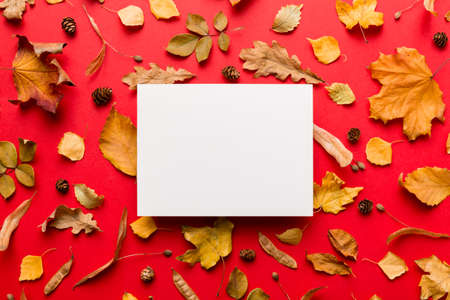 Autumn composition with paper blank and dried leaves on table. Flat lay, top view, copy space.