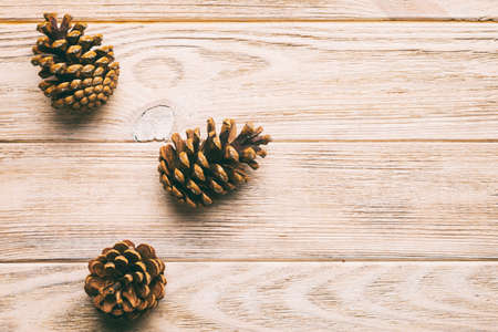 Christmas pine cones on colored paper border composition. Christmas, New Year, winter concept. Flat...
