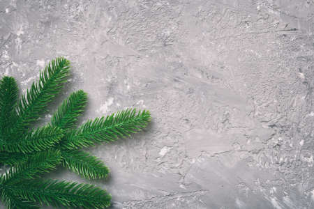 Christmas holiday background with copy space for advertising text. Fir branches on color background . Flat lay, top view.の写真素材