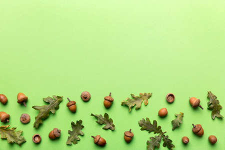 Branch with green oak tree leaves and acorns on colored background, close up top view.の写真素材