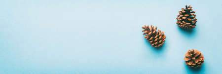Christmas pine cones on colored paper border composition. Christmas, New Year, winter concept. Flat lay, top view, copy space.の写真素材