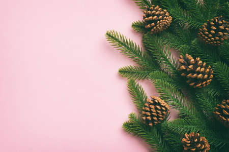 Christmas holiday background with copy space for advertising text. Fir branches and pine cone on color background . Flat lay, top view.の写真素材