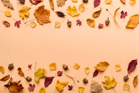 autumn composition. Pattern made of dried leaves and other design accessories on table. Flat lay, top view.の写真素材