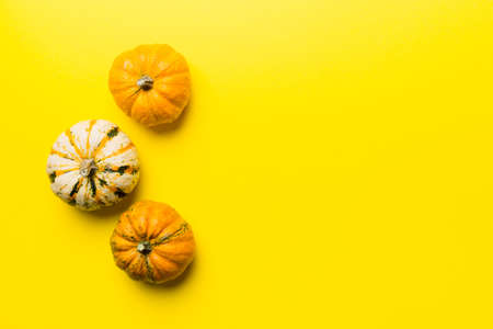 Autumn composition of little orange pumpkins on colored table background. Fall, Halloween and Thanksgiving concept. Autumn flat lay photography. Top view with copy space.の写真素材