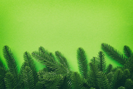 Christmas holiday background with copy space for advertising text. Fir branches on color background...