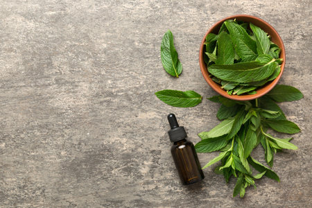 Natural Mint Essential Oil in a Glass Bottle. organic cosmetics with herbal extracts of mint on...